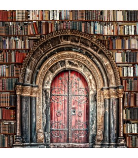 360 - THE OLD DOOR
