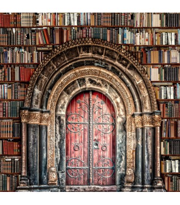 170 - THE OLD DOOR