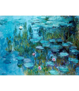 80 - NENÚFARES - Claude Monet