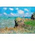 500 - PASEO POR LOS ACANTILADOS DE POURVILLE - Claude Monet