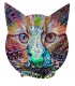 200 - CAT IN A CAT