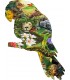 80 - LORO