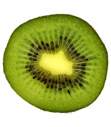 80 - KIWI