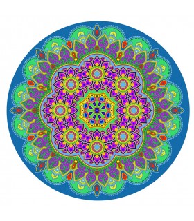 80 - DHAYRI